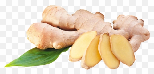 Ginger Transparent Png - Ginger Transparent Png,Ginger Png