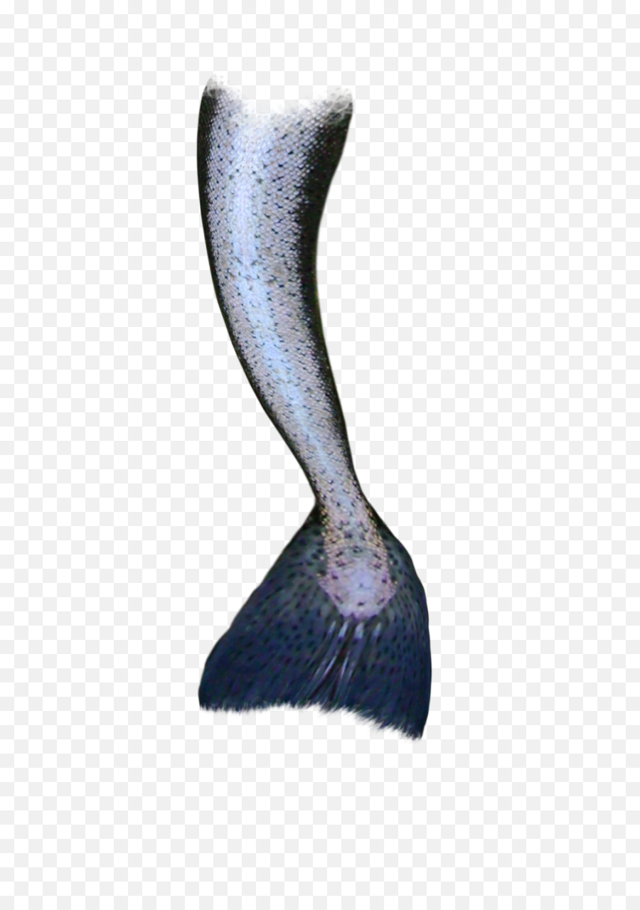 Transparent Black Mermaid Tail - Transparent Background Mermaid Tail Png,Mermaid Tail Transparent Background