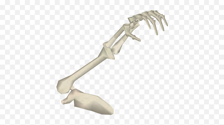 Download Bone Arm - Bone Arm Png,Arm Transparent