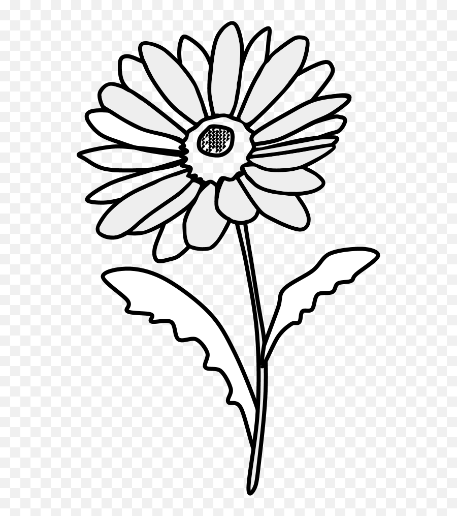 Daisies - Daisy Clipart Black And White Png,Daisies Png