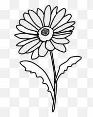 Daisies - Daisy Clipart Black And White Png,Daisies Png