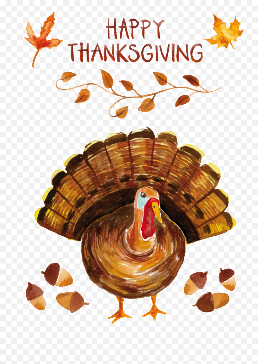 Turkey Watercolor Painting Thanksgiving - Happy Thanksgiving Turkey Transparent Png,Happy Thanksgiving Png