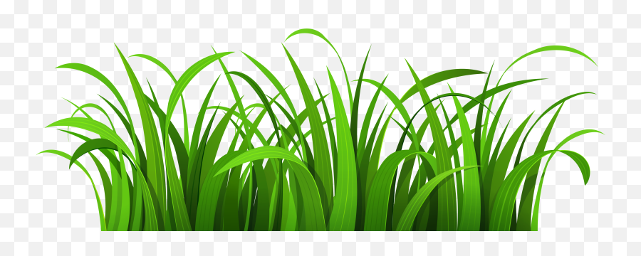 Jungle Clipart Grass Transparent - Transparent Background Grass Clip Art Png,Jungle Png