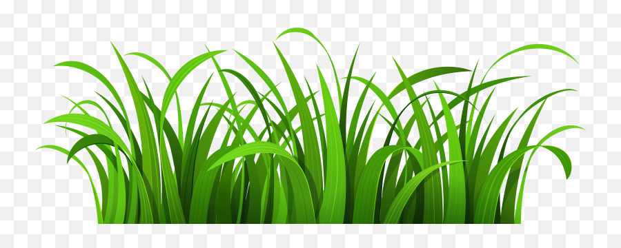 Jungle Clipart Grass Transparent - Transparent Background Grass Clip Art Png ,Jungle Png - free transparent png images 