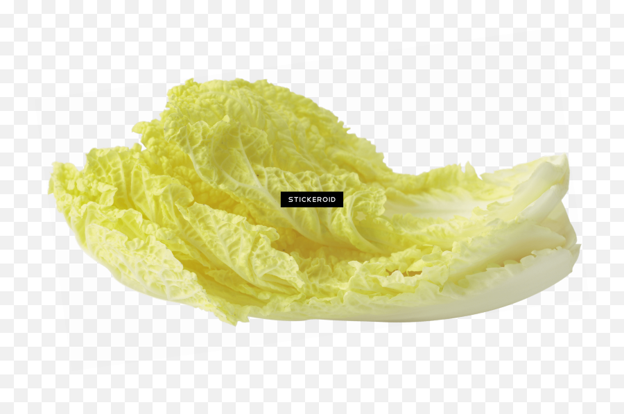 Download Salad Leaf - Vegetable Png,Cabbage Transparent Background