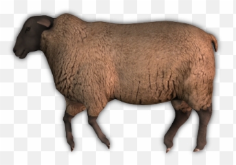 Index Of Mappingobjectsanimalssheep - Dead Sheep Png,Sheep Transparent