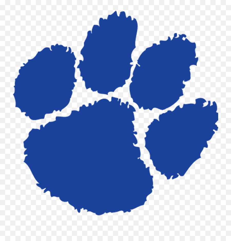 Analy High School - Anson County High School Png,Tiger Paw Png