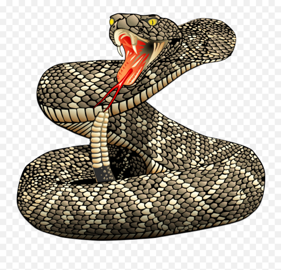 Rattle Snakes Transparent Png Image - Diamondback Rattlesnake Tattoo,Snakes Png