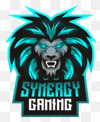 Synergy - Automotive Decal Png,Synergy Clan Logo
