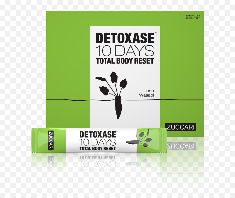 Thin Body Type - Detoxase 10 Days Total Body Reset Png,Kingworld Logo