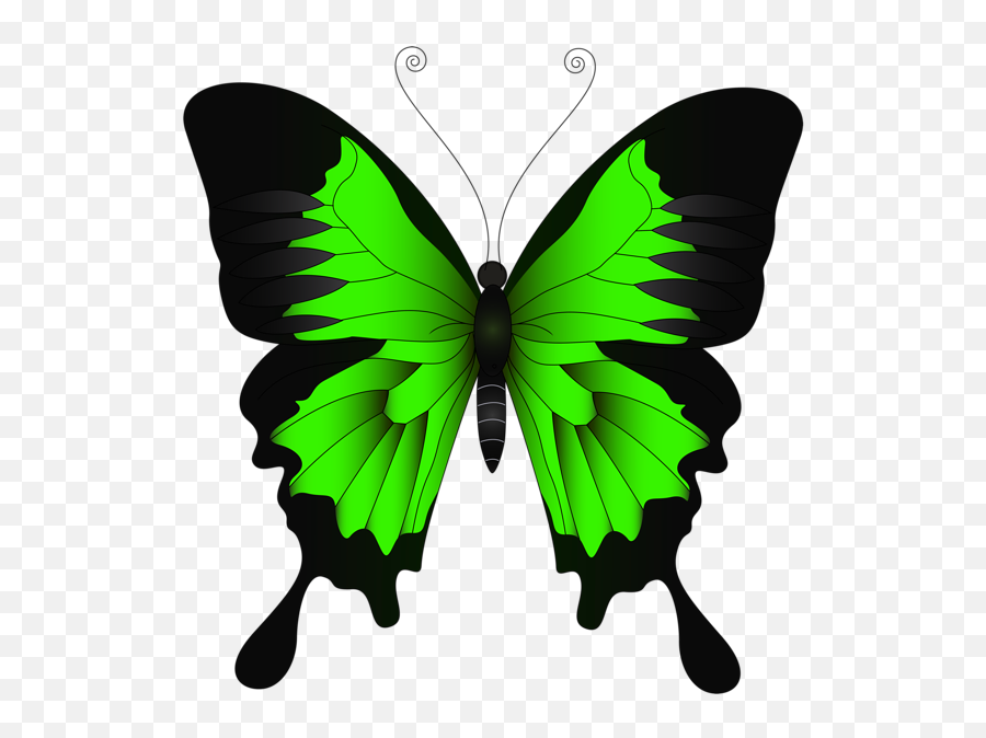 Green Butterfly Png Clip Art Image - Purple Butterfly Clipart,Png Butterfly