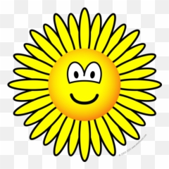 Gurrane Junior Class Gurranejuniors Twitter - Zonnebloem Smiley png