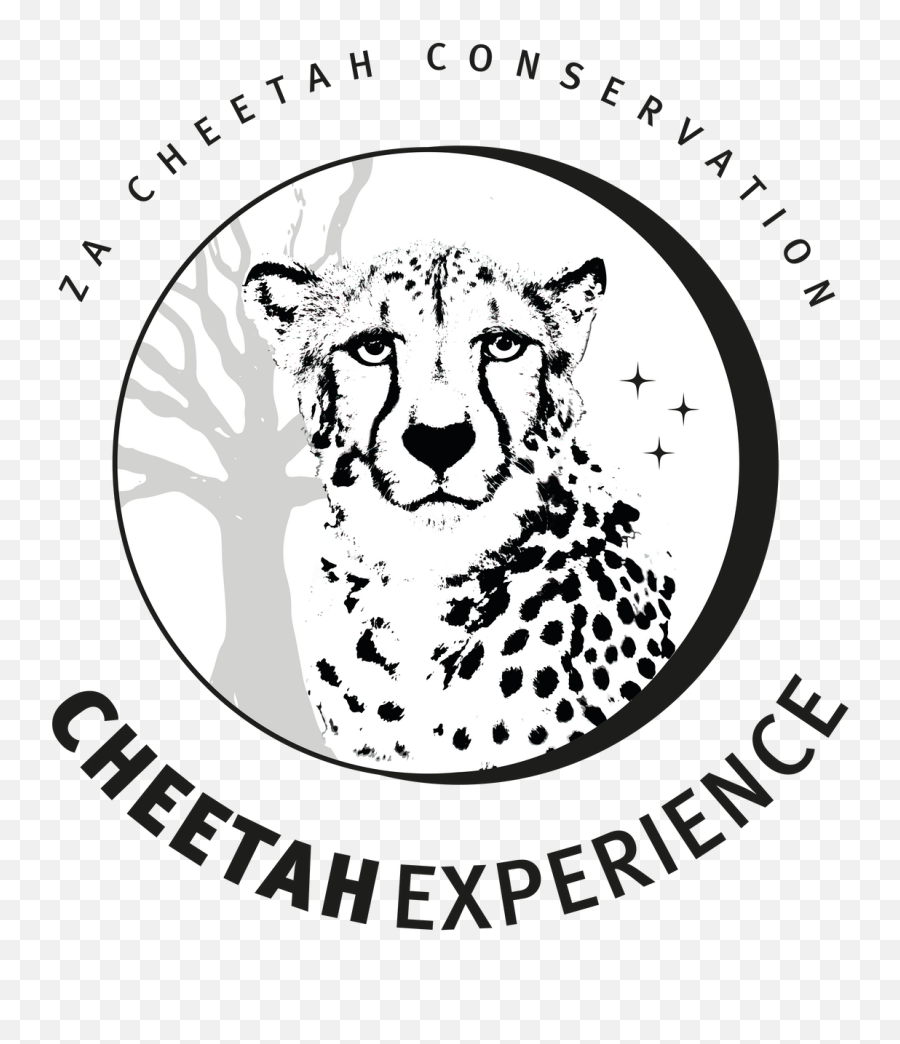 Cheetah Experience South Africa Visit Volunteer L Holidays - Sulawesi Barat Png,Facebook Male Icon