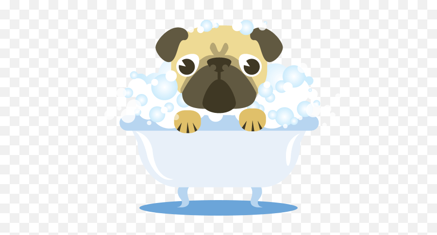 Dog Bath Png Transparent Bathpng Images Pluspng - Dog Shower Png,Pug Transparent Background
