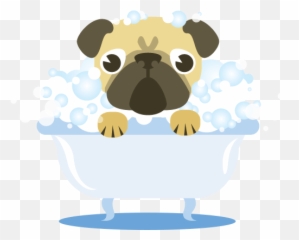 Dog Bath Png Transparent Bathpng Images Pluspng - Dog Shower Png,Pug Transparent Background