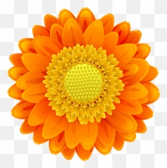 Orange Flowers Clipart - Orange Flower Clipart Png,Orange Flowers Png