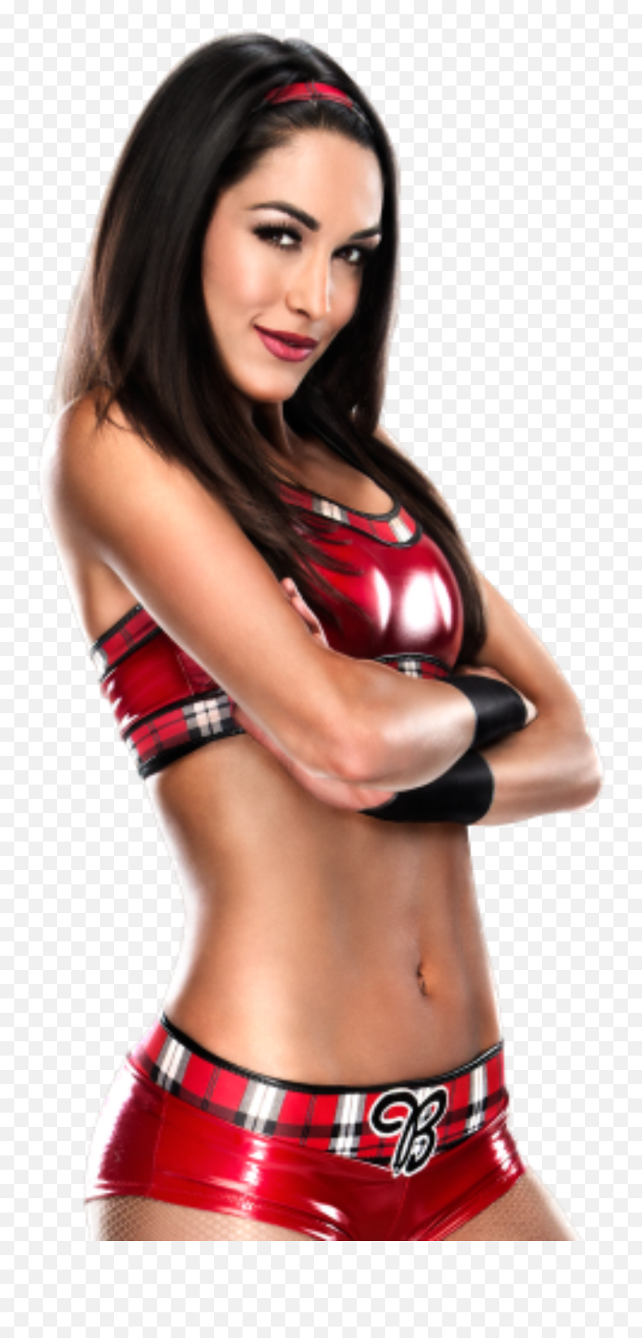 Download Report Abuse - Wwe Diva Brie Bella Png,Nikki Bella Png