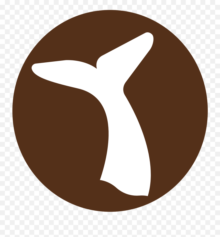 Heads Or Tails - App Lab Codeorg Whale Icon Brown Png,Tails The Fox Icon