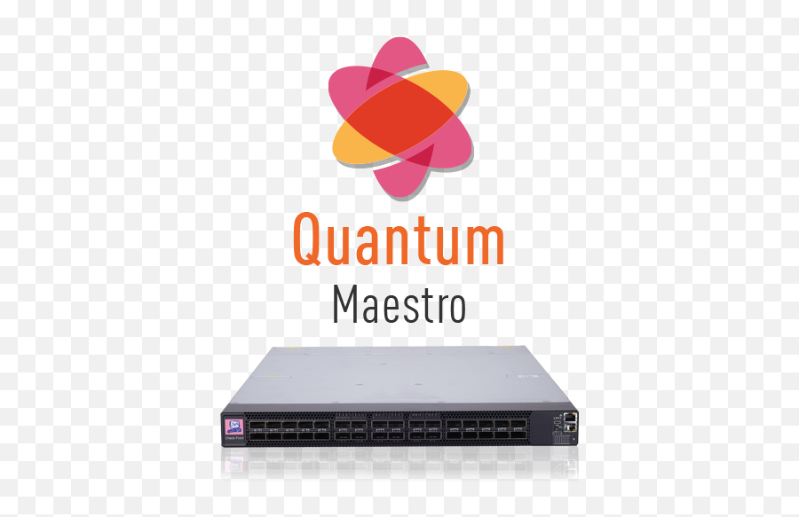 Hyperscale Network Security With Maestro - Check Point Software Quantum Spark Png,Icon Multiple Check