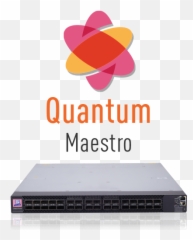 Hyperscale Network Security With Maestro - Check Point Software Quantum Spark png