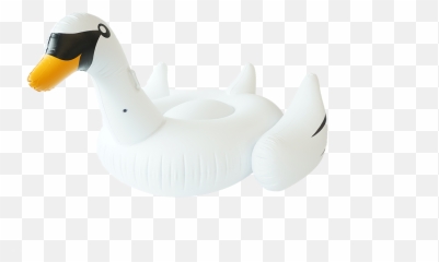 Premium Inflatable Pool Floats - Duck Png,Pool Float Png
