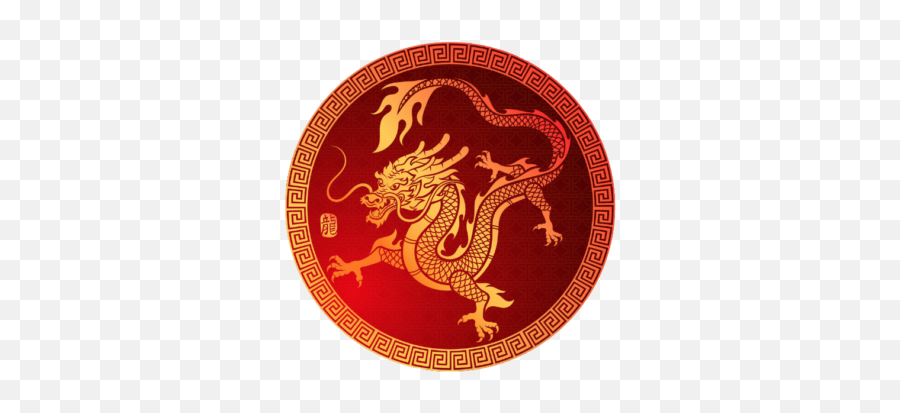 Face Your Dragon - The Dragon Training Japan Png,Lol Dragon Icon