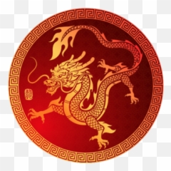 Face Your Dragon - The Training Japan png