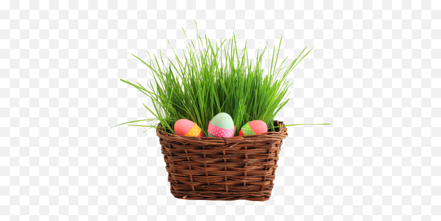 Download Free Png Easter Egg Basket Transparent Image - Easter Basket Png,Easter Eggs Transparent
