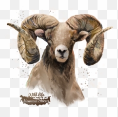 Sheep Transparent Background Png Arts - Big Horn Png