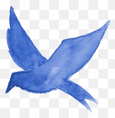 13 Watercolor Bird Silhouette - Bird Painting Transparent Background Png,13 Png
