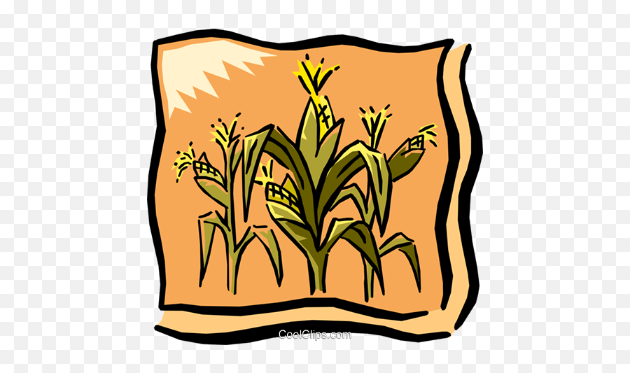 Corn Field Royalty Free Vector Clip Art - Corn Graphic Png,Corn Field Png