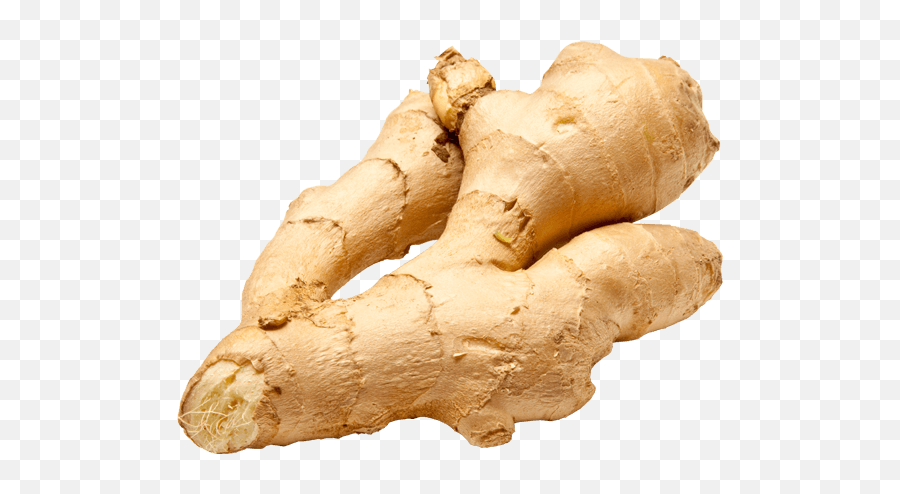 Ginger Png Image For Free Download - Ginger Root,Ginger Png