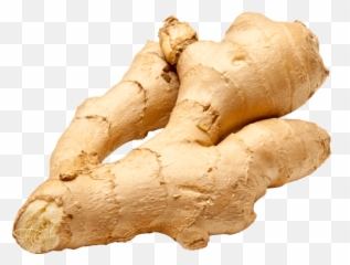 Ginger Png Image For Free Download - Ginger Root,Ginger Png