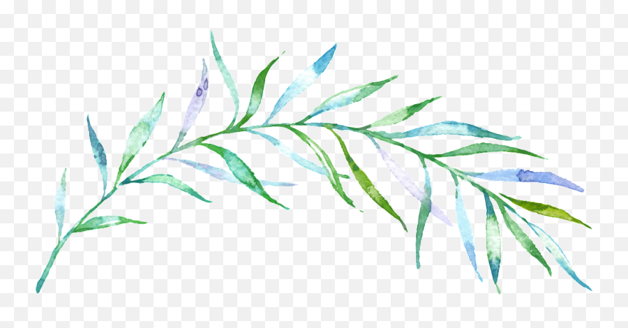 Thin Green Free Download Png Files - Watercolor Transparent Background Branch Png,Download.png Files