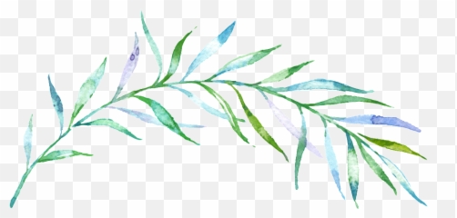 Thin Green Free Download Png Files - Watercolor Transparent Background Branch Png,Download.png Files