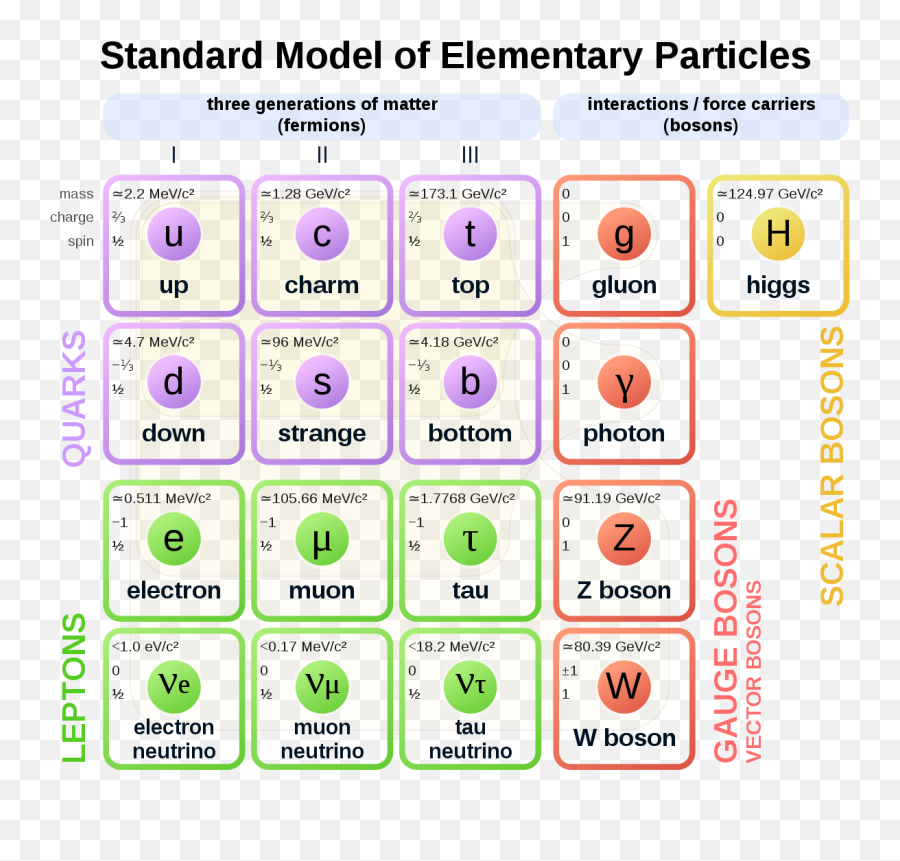 Standard Model - Wikipedia Quarks Leptons And Bosons Png,Particle Effect Png