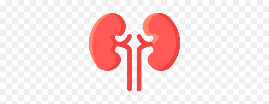 Available In Svg Png Eps Ai Icon - Kidney Icon Png,Kidney Png