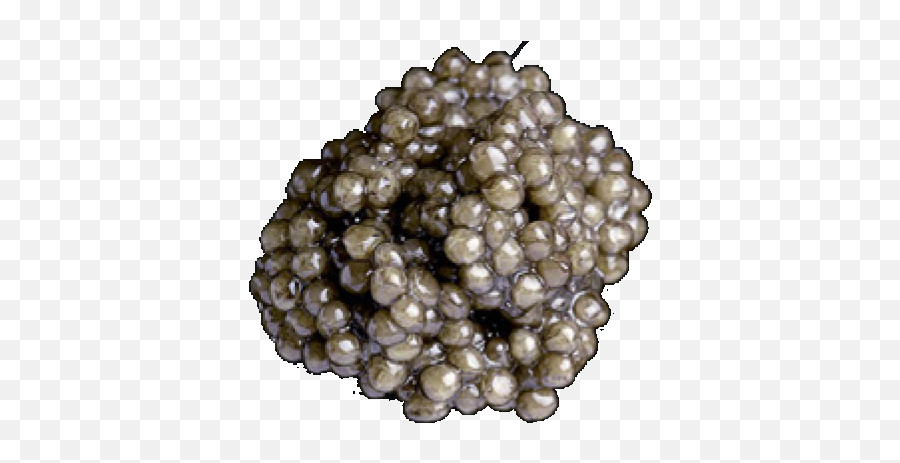 Beluga Caviar Divin By Sepi - Romanian Caviar Png,Caviar Png