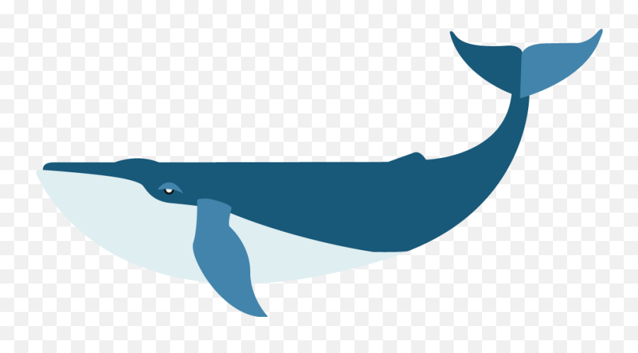 Download Flat Blue Whale Png Image With - Cetaceans,Blue Whale Png