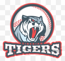Cricket Team Logo Jpg Transparent - png