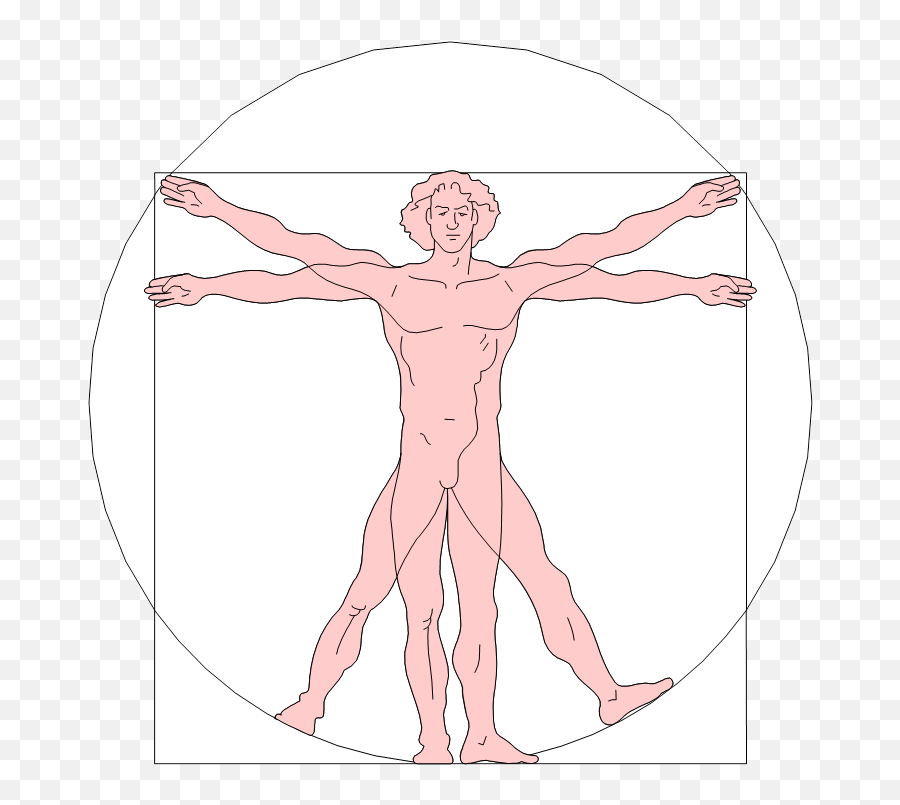 Da Vinci Vitruvian Man - Einstein Human Body Png,Vitruvian Man Logo