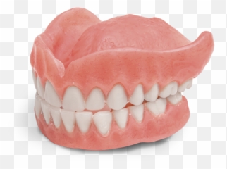 Our Products - Bench Png,Dentures Png