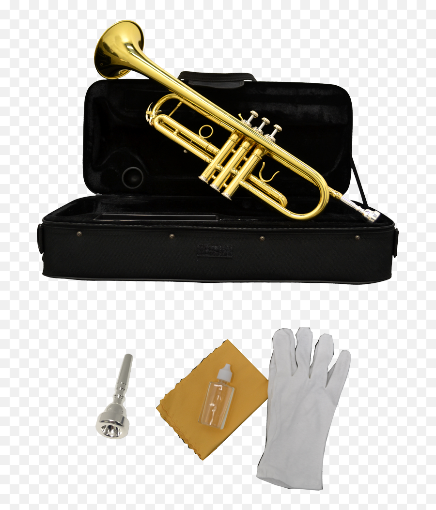 B - Usa Wtrlq Trumpet Lacquer Gold Color B Usa Trumpet Png,Trompeta Png