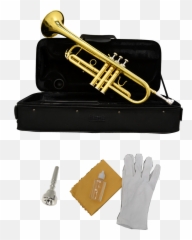 B - USA WTRLQ Trumpet Lacquer Gold Color Usa png