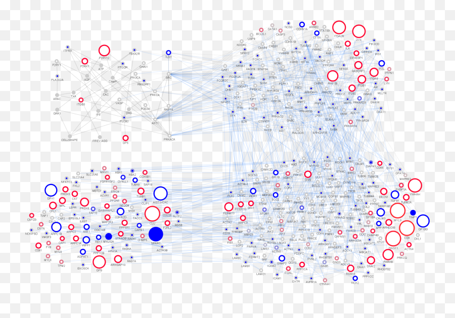 Comparison Of The Central Human And Mouse Platelet Signaling - Dot Png,Adp Icon File