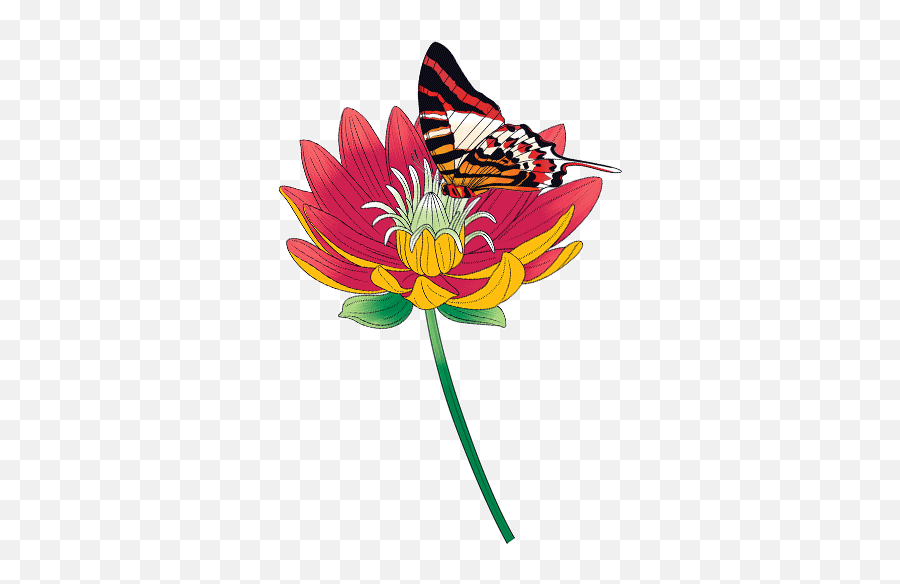 Upload Stars - 629 Butterfly Flying From Flower Transparent Butterfly In Flower Gif Transparent Png,Butterfly Transparent