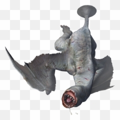 Pin By Chris Sager - Khezu Monster Hunter Png,Mopeshroom Icon M H4u