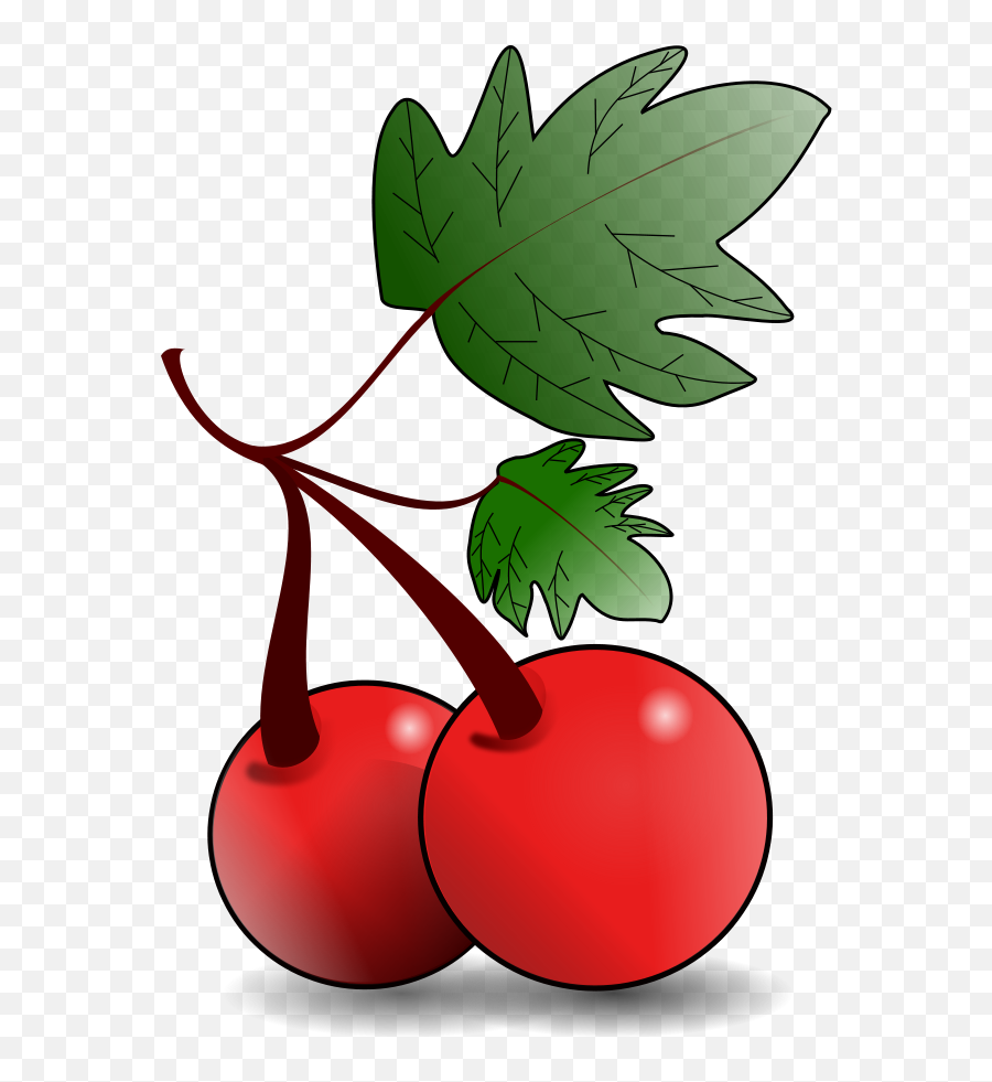 Fruit Image Clipart Png