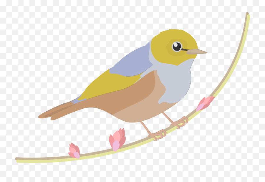 Graphics - Old World Flycatchers Png,Bluebird Icon