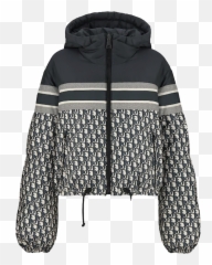 Dioralps Doudoune À Capuche - ICONICON Christian Puffer Jacket png